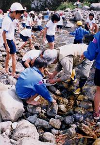 上流での水生生物観察