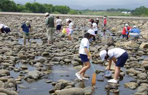 下流の様子(吉富町の河川敷付近)